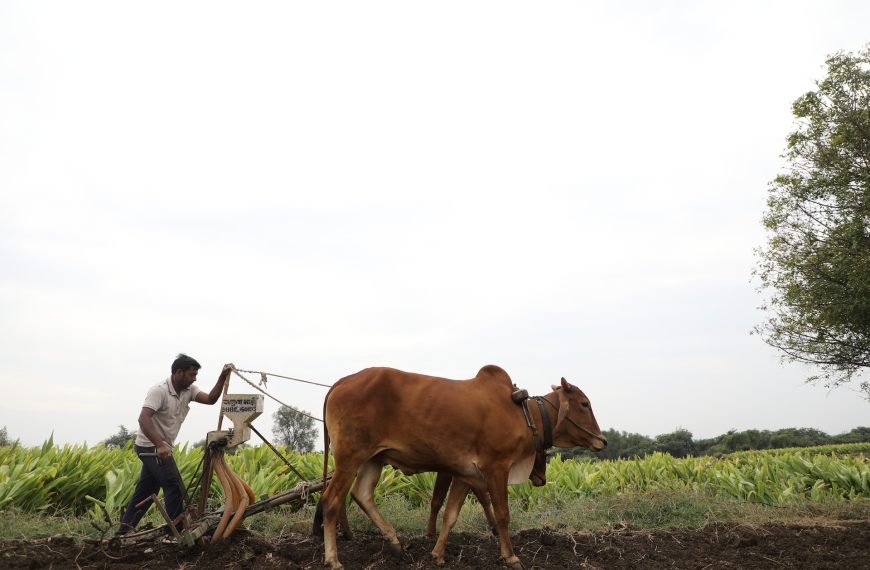 भारतीय शेती दशा आणि दिशा!